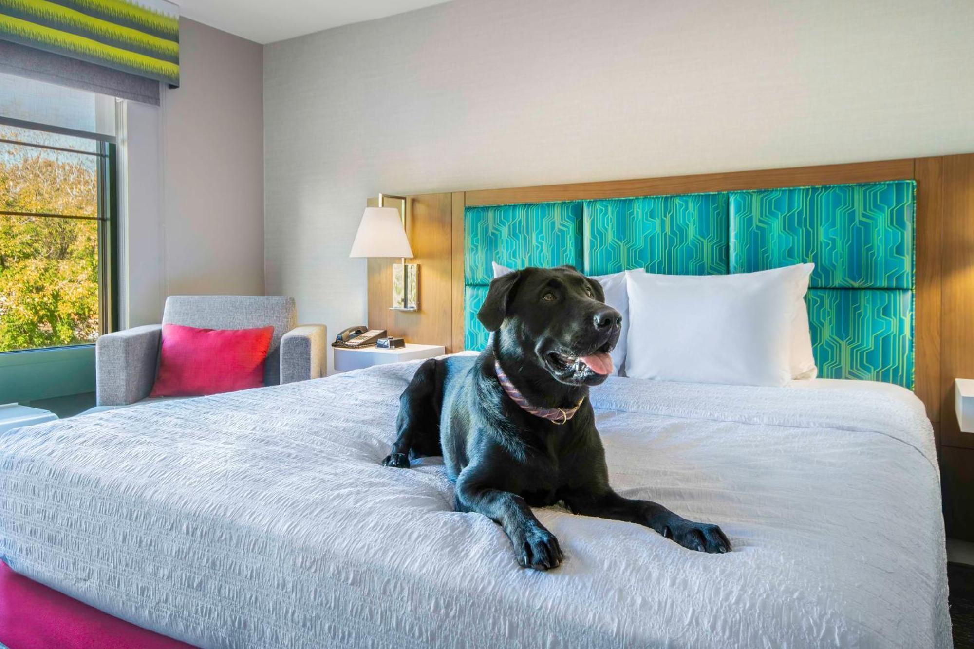 Hampton Inn East Aurora Экстерьер фото